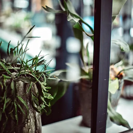 Szálloda Monsieur Helder