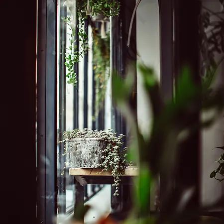 Monsieur Helder Hotel