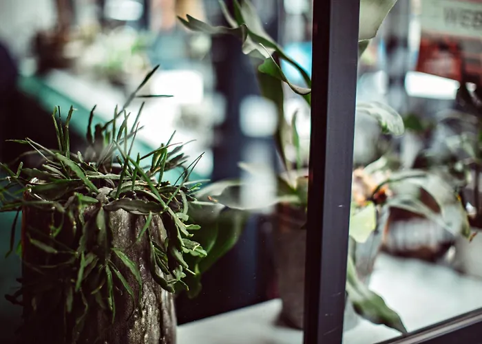 Hotel Monsieur Helder