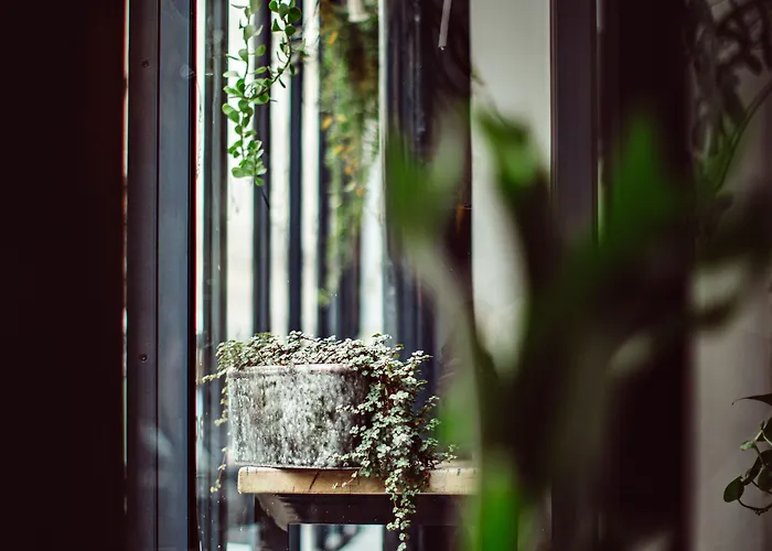 Monsieur Helder Hotel