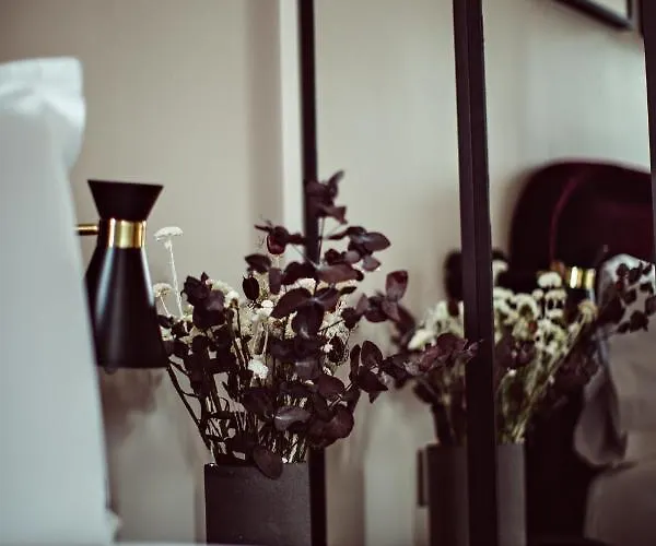 Monsieur Helder Hotel